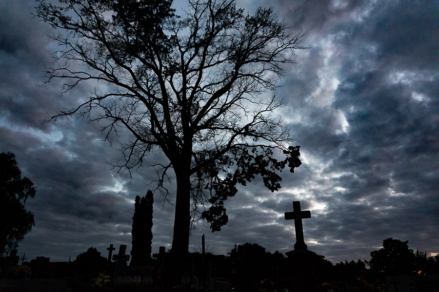Cmentarz w Miechowie, nocą, fot. Piotr Kubic